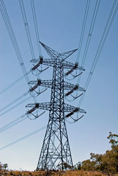 Elektrik ağından — Stok fotoğraf