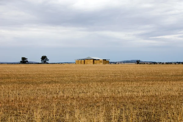 Hay Shed — Stock Photo, Image