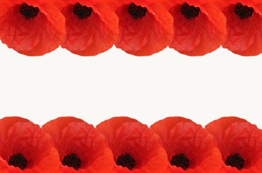 Poppy border clipart