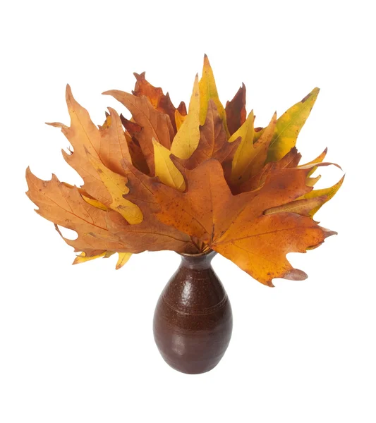 Őszi levelek váza Stock Kép