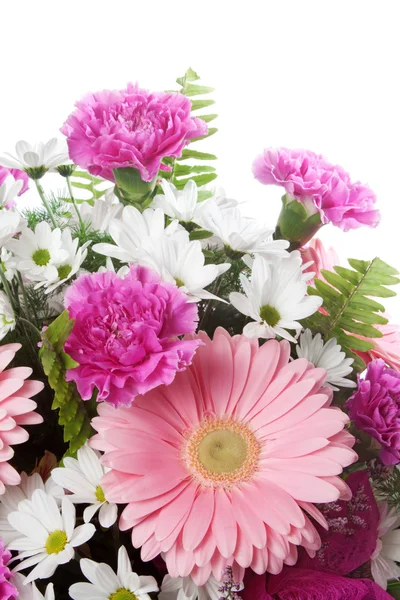 Rosa och vita blommor — Stockfoto