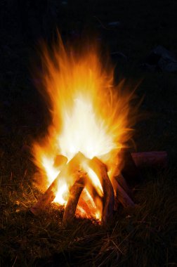 A small campfire clipart