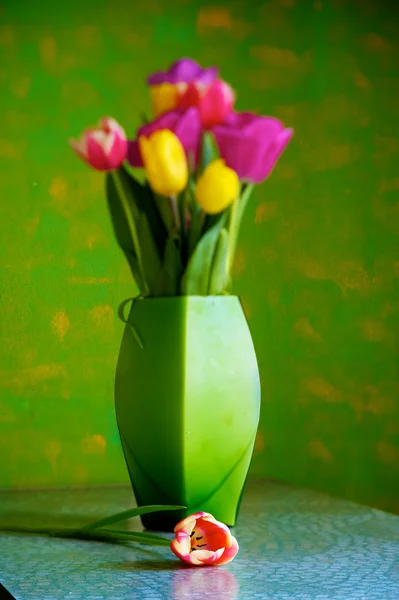 stock image Tulips