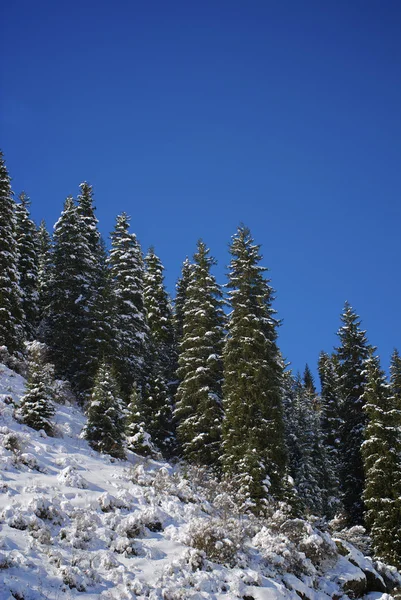 Excelentes formas de natureza de inverno — Fotografia de Stock