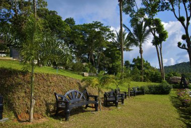 tropikal park