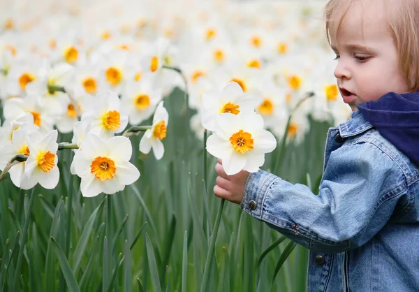 Girl and narcissus — Stock Photo, Image