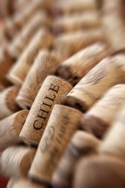 Chile cork plug — Stock Photo, Image
