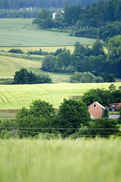 Countryside — Stock Photo, Image