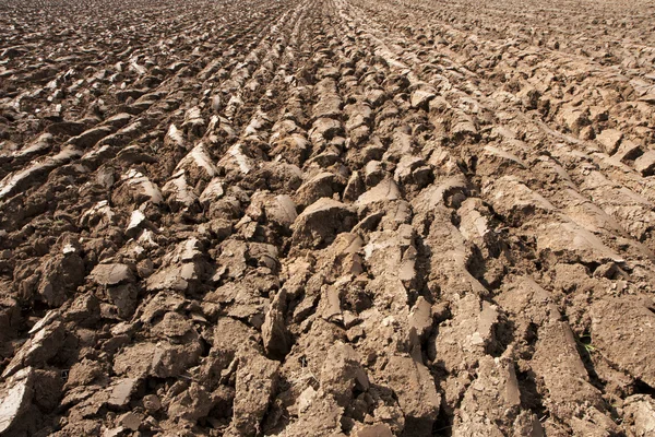 stock image Ploughed field