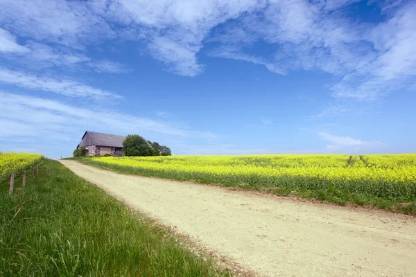 stock image Old thrown barn