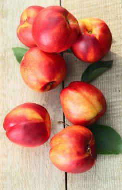 Nectarines clipart