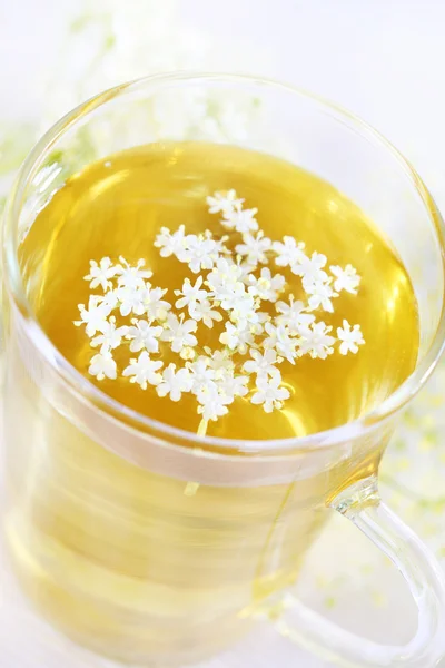 Herbata kwiat starszy — Zdjęcie stockowe