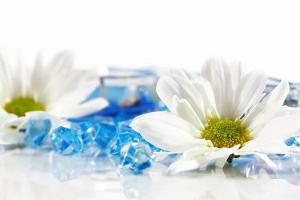Wellness a aromaterapie — Stock fotografie