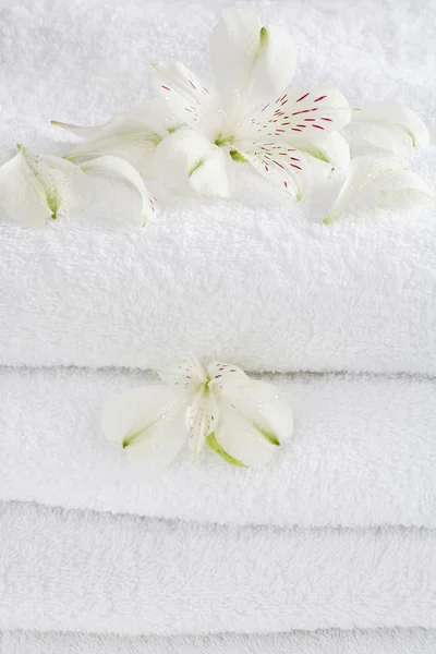 Weiße Handtücher — Stockfoto