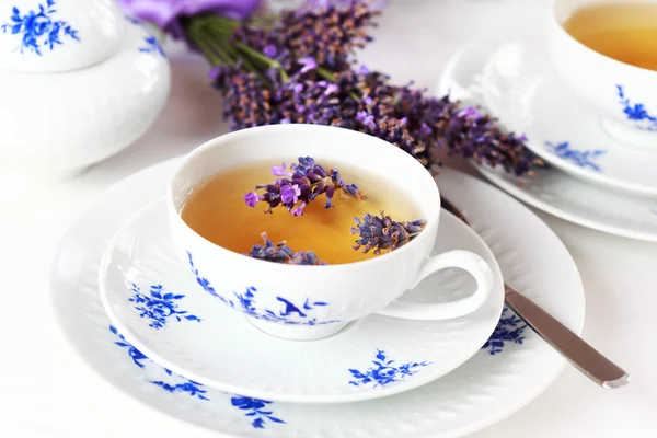 Лавандовый чай — стоковое фото