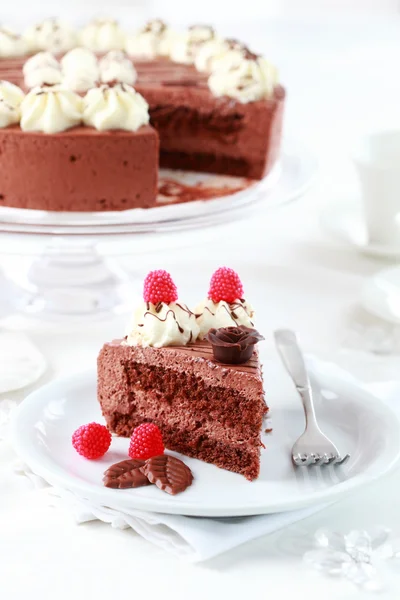 Lahodný čokoládový dort — Stock fotografie