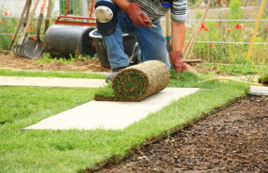 Laying sod for new lawn clipart