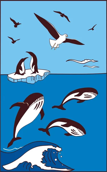 Velryba, tučňáci a racky — Stockový vektor