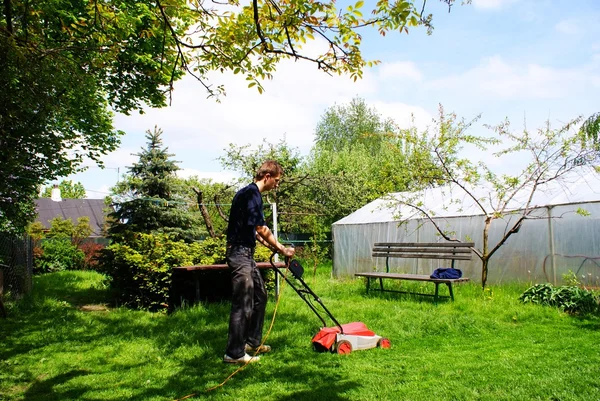 stock image Mower