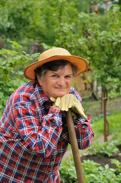 Idősebb nő, Kertészet — Stock Fotó