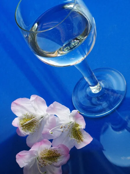 ローレルと水のグラス — ストック写真