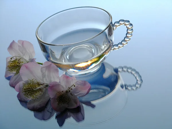 Rododendro e vaso de vidro — Fotografia de Stock