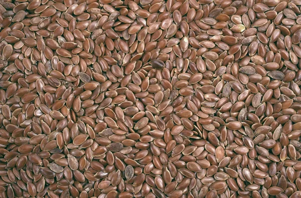 Closeup view of flix seeds - background — Stock Photo, Image