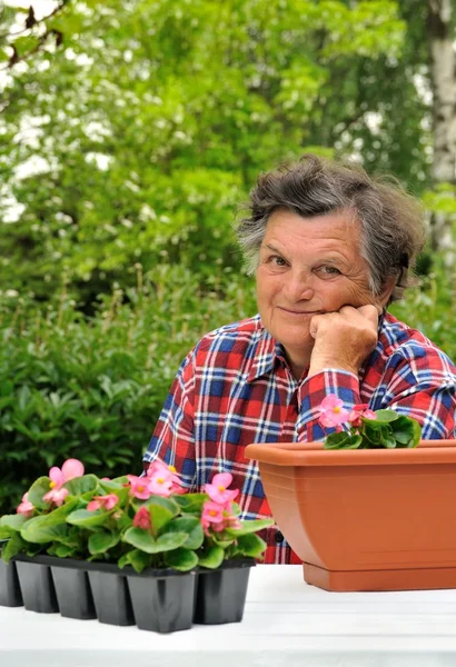 Старшая женщина - садоводство — стоковое фото