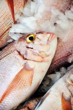 Fresh Red Snapper, market of Madeira, Portugal clipart