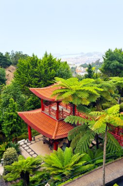 Monte Sarayı tropikal Bahçe