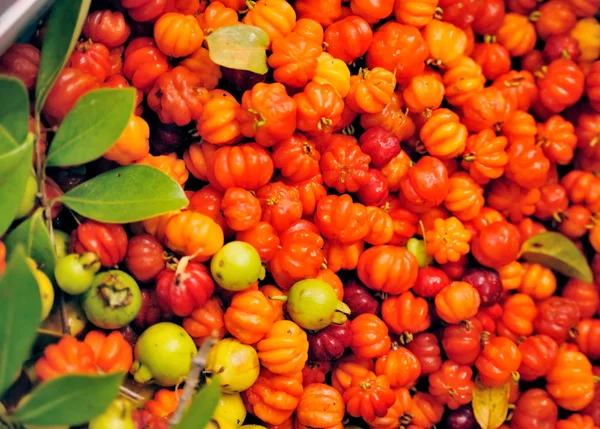 Surinamei cseresznye, pitangas, eugenia uniflora, gyümölcs, a Madeira-szigetek — Stock Fotó