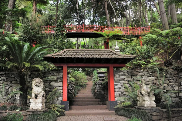 stock image Monte Palace Tropical Garden