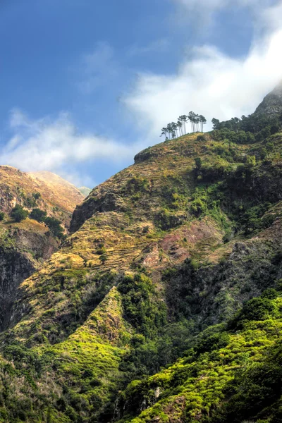 Voltar montanhas da ilha da Madeira, vista da Ribeira da Serra — Fotografia de Stock