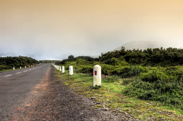 stock image Road in Plateau of Parque natural de Madeira, Madeira island, Portugal