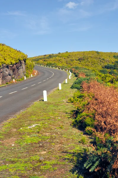 Road in Plateau of Parque natural de Madeira, Madeira island, Portugal — Stock Photo, Image