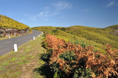 weg in plateau van parque natural de madeira, het eiland mad