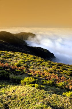 Valley, Lomba de Risco, Plateau of Parque natural de Madeira, Madeira isla clipart