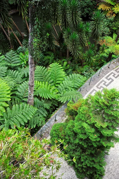 Monte Palace Tropical Garden — Stock Photo, Image