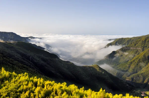 Valley, Lomba de Risco, Plateau of Parque natural de Madeira, Madeira isla — Stock Photo, Image