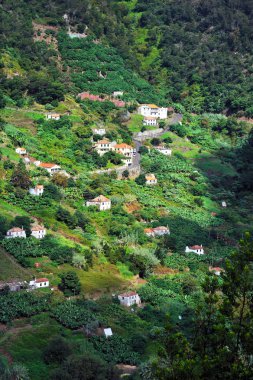 Village on the north coast of Madeira island clipart