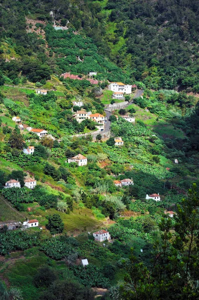 stock image Village on the north coast of Madeira island