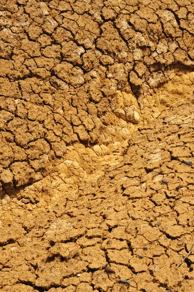 Textura do solo seco rachado - fundo — Fotografia de Stock