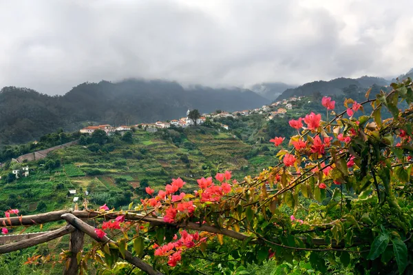 Aldeia na costa norte da ilha da Madeira — Fotografia de Stock