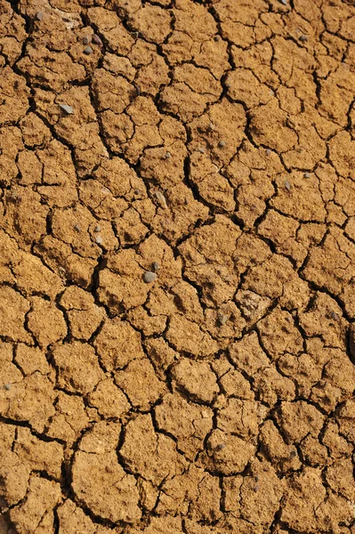 Ραγισμένα ξηρό έδαφος υφή — Φωτογραφία Αρχείου