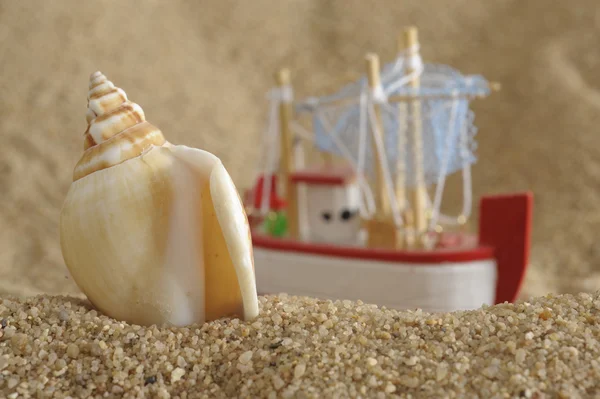 Оболочки и корабль на пляже — стоковое фото