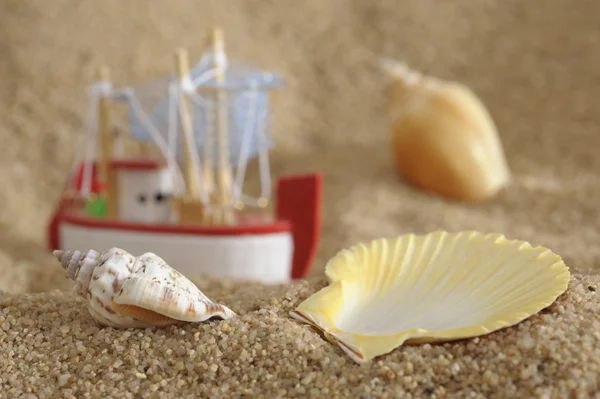 Shell och fartyg vid stranden — Stockfoto