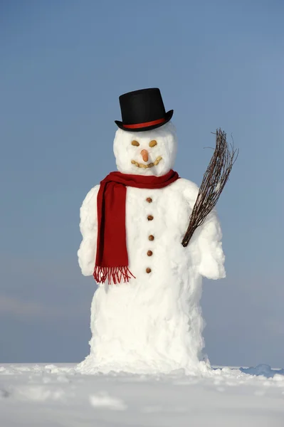 Uomo di neve — Foto Stock