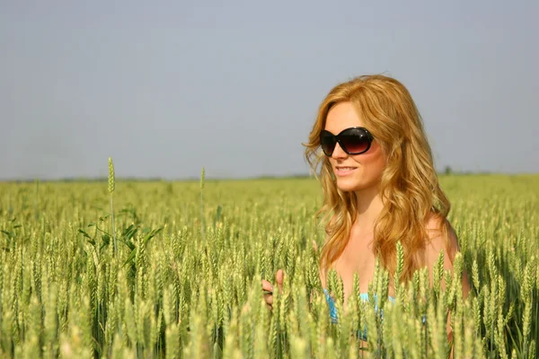 Menina sexy bonita em um campo de trigo — Fotografia de Stock