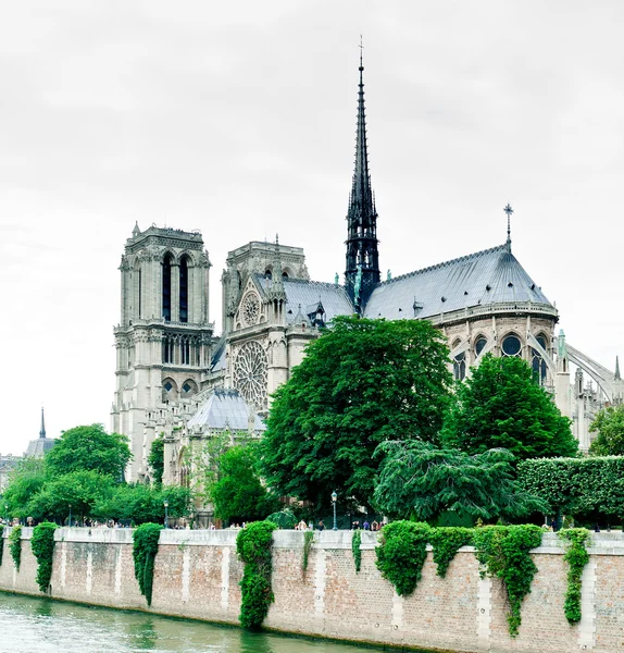 stock image Notre Dame