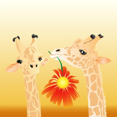 Giraffes clipart